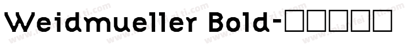 Weidmueller Bold字体转换